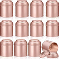 Meanplan 12 Pcs Tea Tin Canister with Airtight Double Lids Round Tin Can Box Small Kitchen Tea Canister Loose Leaf Storage Containers for Loose Bags Coffee Sugar Candy Spices(Rose Gold,8 oz)