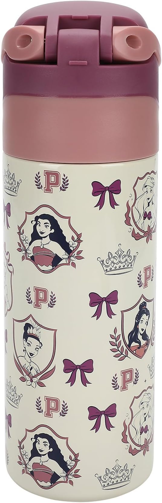 Disney Princess All-Over Character Print 24 Oz Stainless Steel Water Bottle