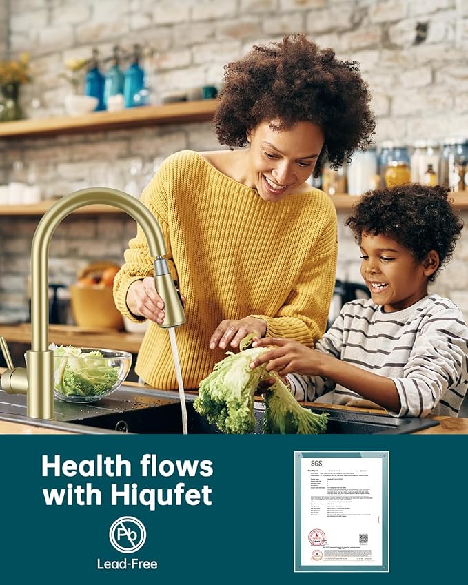 Hiqufet Brushed Gold Kitchen Faucet with Pull Down Sprayer, High Arc Faucet, Stainless Steel Modern RV Bar Sink Faucets for Pot Filler, Farmhouse Camper Bar Laundry, RV Bathroom
