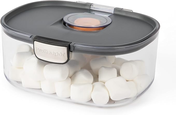 Progressive ProKeeper International Airtight Food Storage Container with Terracotta Disk for Freshness, Stackable & Dishwasher Safe, Ideal for Cookies, Baked Goods, & More, 3 Quart