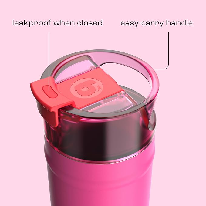 bubba 32 oz Dualsip Insulated Stainless Steel Water Bottle with Straw - Reusable, Leakproof, Lightweight, Dishwasher Safe, Lead-Free and BPA-Free, Flora Aura