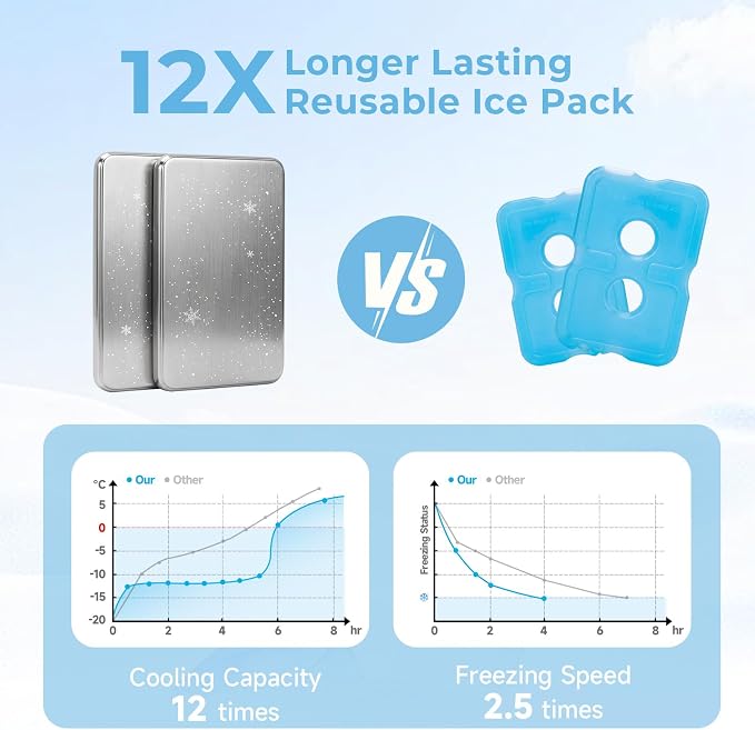 Homelove Snackle Box Container, Snack Organizer Divided Serving Tray with 2 Stainless-Steel Ice Packs, Lid with Handle, Double-layer Tray and 5-Compartment Snack Platter for Travel Party Beach Picnic