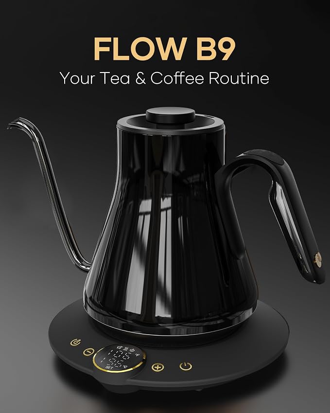 Cocinare Gooseneck Electric Kettle, ±1°F Precise Temperature Control, 1500W Fast Heating, Pour Over Coffee & Tea Kettle with Brew Timer & Keep Warm, Stainless Steel, 0.9L (Soulages Black)