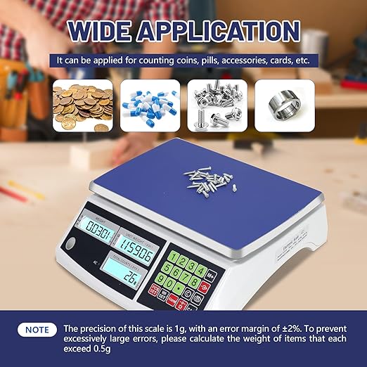 Industrial Counting Scale (30kg/66lb, 0.1g), g/kg/lb, Coin Scale, Precision Electronic Gram Scale for Parts and Coins,Digital Inventory Scale with Alarm Mode