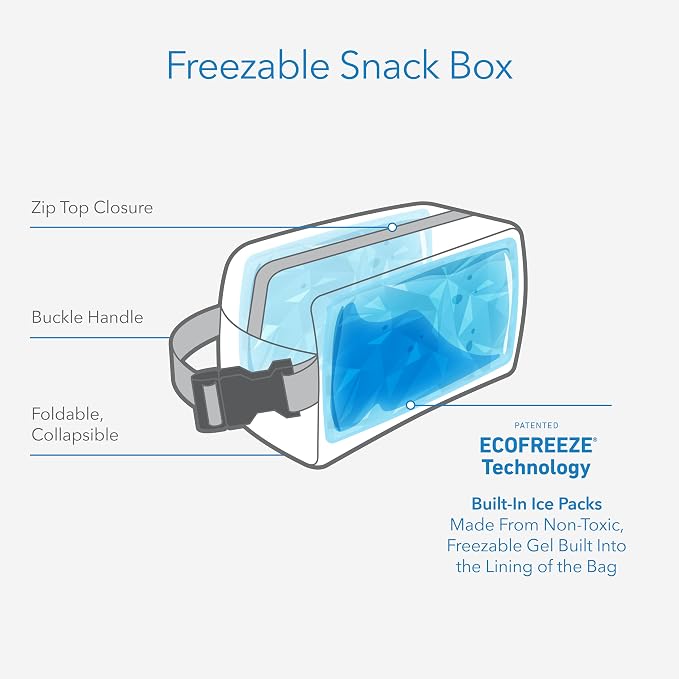 PackIt Freezable Snack Box, Magenta, Built with EcoFreeze Technology, Collapsible, Reusable, Zip Closure with Buckle Handle, Designed For Work Snacks, Fresh Snacks On the Go, Adults, and All Ages