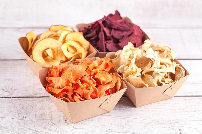 4 Fruit Leather Silicone Dehydrator Sheets with EDGES - NON-Toxic for Nesco Round Dehydrators Lip Mold Hold Batter Liquids Fruit Roll Up Fruit Leather Circle ReUsable Flexible Non Stick