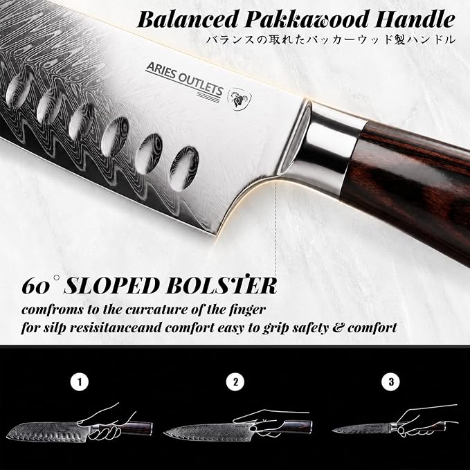 6 Piece Japanese Damascus Knife Set, Professional Chef Knife Set with VG10 Steel Core, Ultra Sharp 67-Layer Kitchen Knives, Pakkawood Handle Gift Box