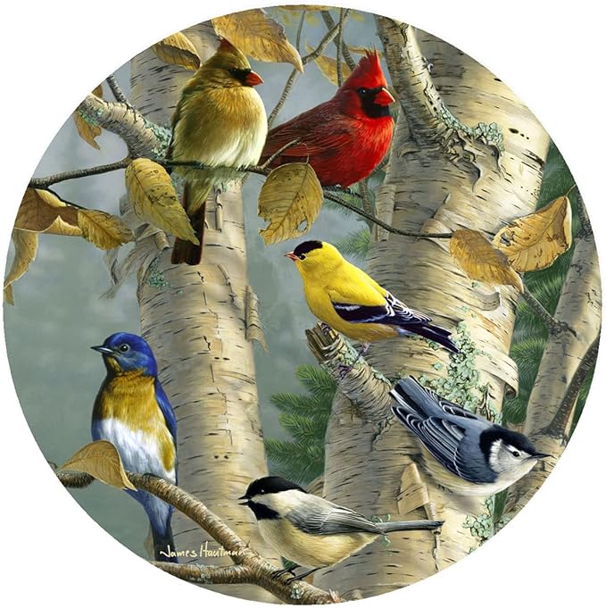 Andreas Silicone Songbird Favorites 8" Non-Slip Trivet/Pot Holder – Cotton Fabric Encapsulated in Silicone – Heat Resistant to 600°F – Flexible, Dishwasher Safe – Made in The USA, TR-HB1107