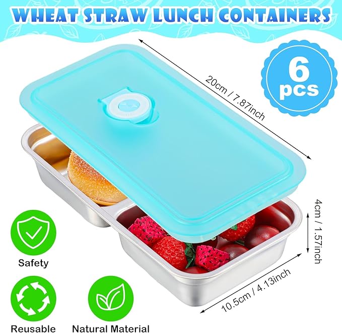 Teenyyou 6 Pcs Stainless Steel Snack Containers 30 oz 2-compartment Meal Prep Containers Reusable Metal Divided Bento Box with Silicone Lids Leakproof Lunch Box Dishwasher Safe (Blue)