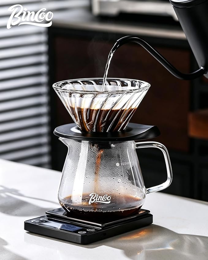 Bincoo Premium Pour Over Coffee Set, 500ML High Borosilicate Glass Coffee Maker, Even Extraction Dripper Holder, 3 Elegant Colors (White)
