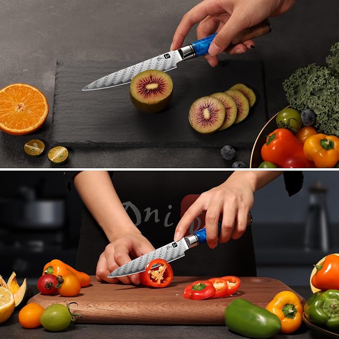 Kitchen Knife Set of 3,Damascus VG10 Steel,Ocean Blue Handle Series