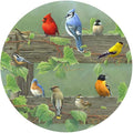 Andreas Silicone Rail Birds 8" Non-Slip Trivet/Pot Holder/Hot Pad – 100% Cotton Fabric Encapsulated in Silicone, Heat Resistant to 600°F – Flexible, Dishwasher Safe – USA Made, TR-HB1183