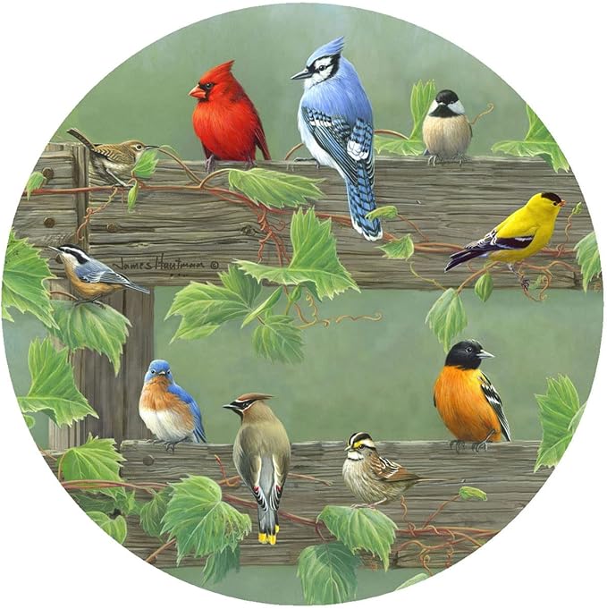 Andreas Silicone Rail Birds 8" Non-Slip Trivet/Pot Holder/Hot Pad – 100% Cotton Fabric Encapsulated in Silicone, Heat Resistant to 600°F – Flexible, Dishwasher Safe – USA Made, TR-HB1183