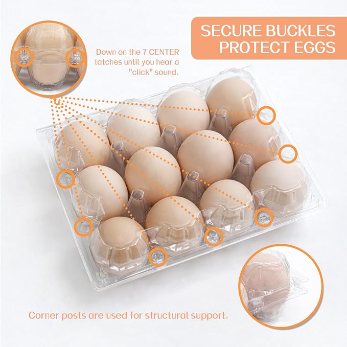 WIKDAY Egg Cartons Cheap Bulk 100 Pack 12 Count Plastic Clear Dozen Reusable Empty Egg Containers for Chicken Eggs Storage with Date Tracking Stickers