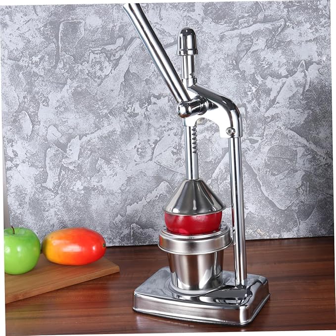 DECHOUS Manual Juice Extractor Machine Fruit and Vegetable Squeezer Stainless Steel Easy Cleaning No Power