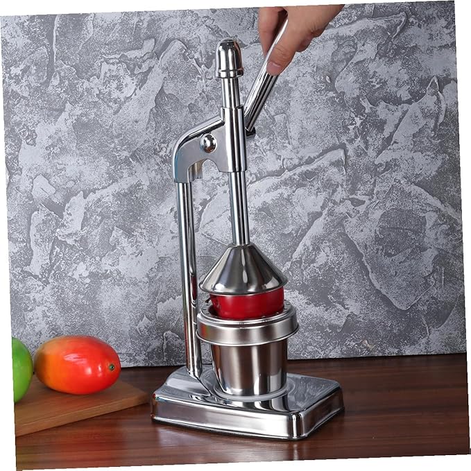 DECHOUS Manual Juice Extractor Machine Fruit and Vegetable Squeezer Stainless Steel Easy Cleaning No Power