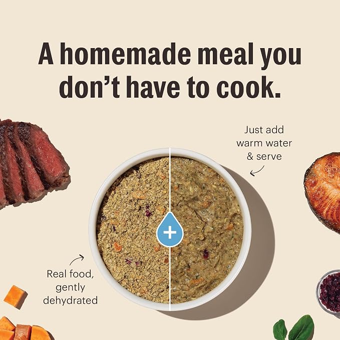 The Honest Kitchen Human Grade Wholemade™ Dehydrated Whole Grain Beef & Oat Dog Food, 7 lb Box