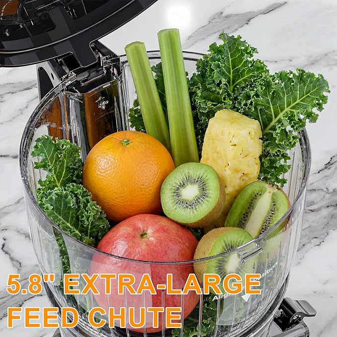 300W Cold Press Juicer with 5.8" Extra-Large Feed Chute, Slow Masticating Juicer Machines for Fruits and Vegetables, High Juice Yield, Easy to Clean, Family Use, BPA Free (Black & Grey)