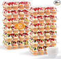 12 Pack x 20 Sets Plastic Cupcake Containers, Stackable Cupcake Boxes Holders with Tall Dome Lid, Disposable Clear Cupcake Carrier Trays for Bakery Transport