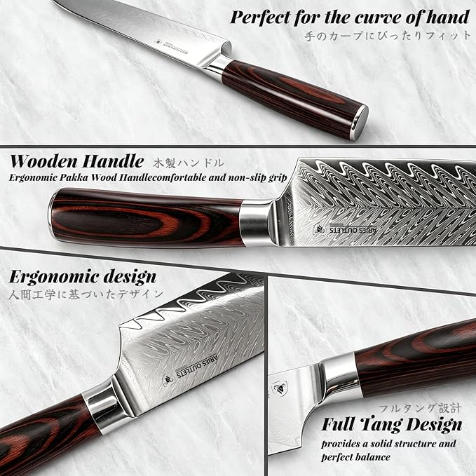6 Piece Japanese Damascus Knife Set, Professional Chef Knife Set with VG10 Steel Core, Ultra Sharp 67-Layer Kitchen Knives, Pakkawood Handle Gift Box
