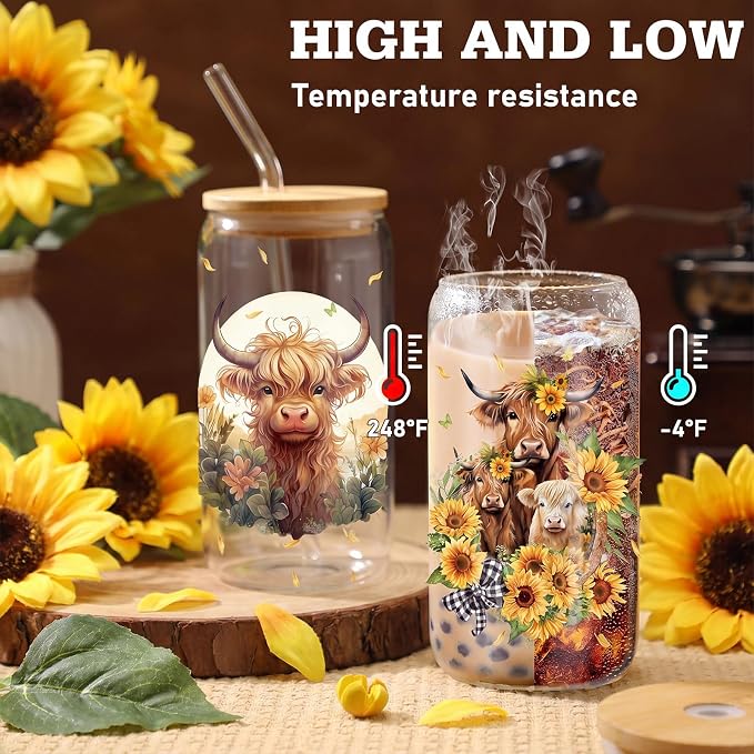 Teenyyou 12 Set of Highland Cow Glasses with Bamboo Lid and Glass Straw 16 oz Summer Drinking Cup Beer Iced Coffee Cup Tumbler Mugs for Teacher's Day Gift Holiday Party Office