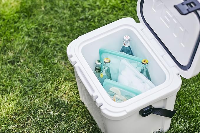 Stasher Reusable Silicone Storage Bags, Food Storage Containers, Microwave and Dishwasher Safe, Leak-free, Pocket 2-Pack + 1/2 Gallon Bag