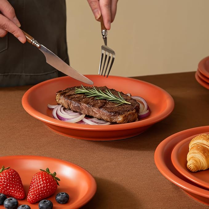 Timeworn Clay Dinner Plates, Set of 4, 10.25-Inch, Terracotta Red | Hand-Finished, Stoneware, Microwave Safe, Dishwasher Safe