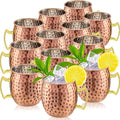 Tessco 12 Pcs Moscow Mule Mugs 16 oz Copper Mugs Kit 304 Hammered Copper Plated Stainless Steel Mule Cups for Cold Drinks Coffee Beer Wine Chilled Drink(Trendy Style,Rose Gold)
