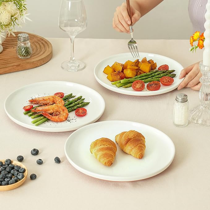 10.25-Inch Dinner Plates Set of 4, Dual Glaze Stoneware Plates, Microwave and Dishwasher Safe, Ceramic Plates for Everyday Dining, Stardust Glaze White