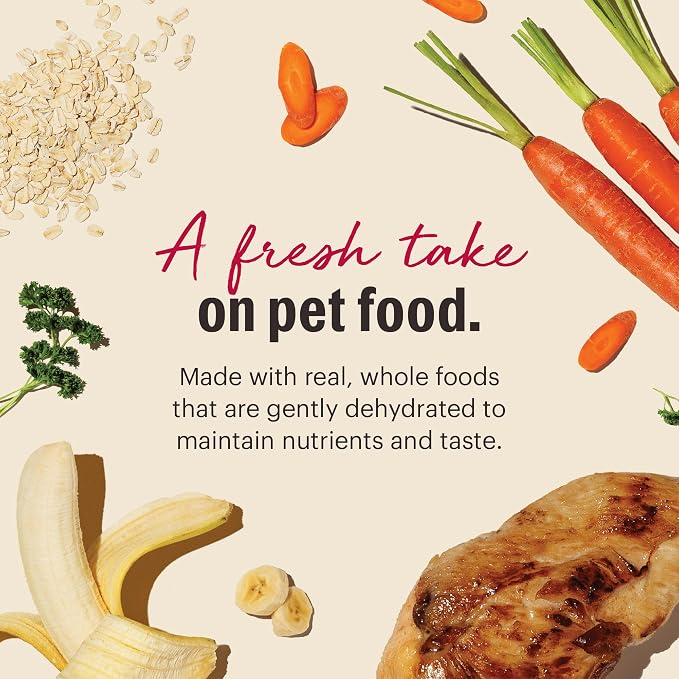 The Honest Kitchen Human Grade Wholemade™ Dehydrated Whole Grain Dog Food, Chicken 4 lb (16lbs)