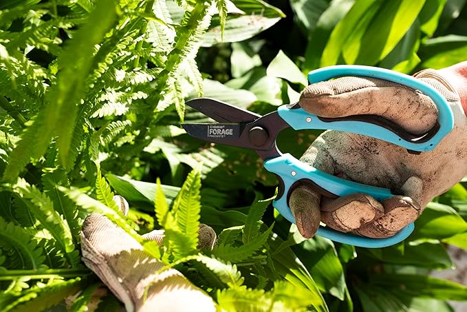 OASIS Forage Strain Reducing Ippon Floral Scissors | Precision Cut Stainless Steel Blades | Bright Blue Soft Grip Handle