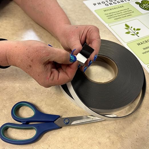 Master Magnetics ZG30A-Ax50BX Flexible Magnet Strip with Adhesive Back , 1/16" Thick, 3/4" Wide, 50 feet (1 Roll)