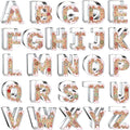 4 Inch Alphabet Letter Cookie Cutter Set - 26 Pcs Extra Large Xzhloym Cookie Cutters Shapes Biscuit Fondant Baking Molds for Christmas New Year Birthday Holiday Party Decorations - Stainless Steel
