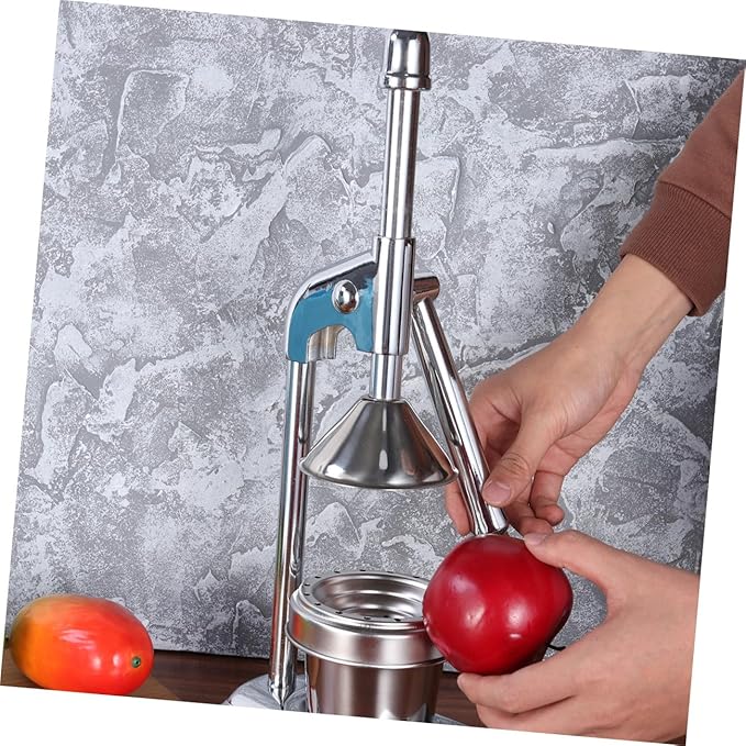 DECHOUS Manual Juice Extractor Machine Fruit and Vegetable Squeezer Stainless Steel Easy Cleaning No Power
