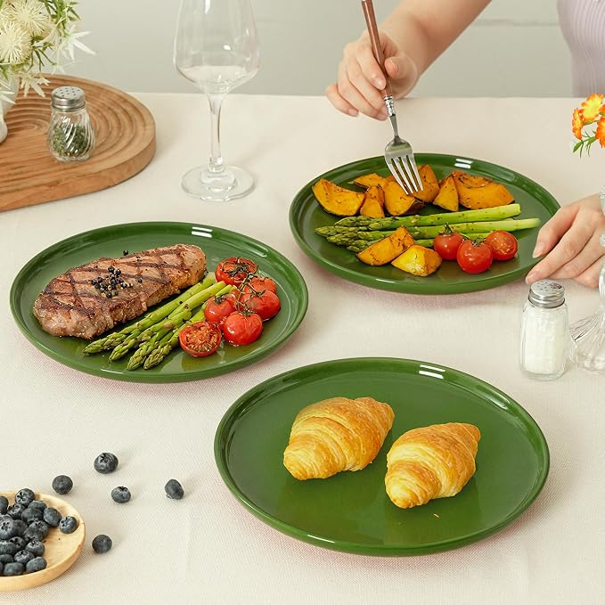 10.25-Inch Dinner Plates Set of 4, Dual Glaze Stoneware Plates, Microwave and Dishwasher Safe, Ceramic Plates for Everyday Dining, Forest Glaze Green