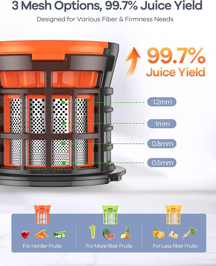 Ganiza Juicer Machines, Slow Masticating Juicers with Large Feed Chute for Whole Fruits & Vegetables, Cold Press Juicer with 3 Replace Filters for Batch Juicing, Easy to Clean, BPA Free(Silver)