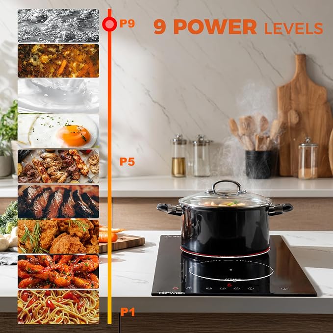 TOPWISH Electric Stove 2 Burner Electric Cooktop, 12 Inch Plug-in Stove Top | Electric Kitchen Stoves with Timer & Child Lock, 110V Cook Top Stove Electric Burners for Cooking, Built-in
