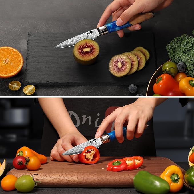 Kitchen Knife Set of 3,Damascus VG10 Steel,Ocean Blue Handle Series