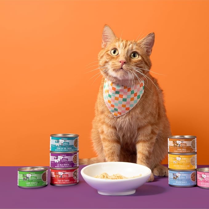 Weruva Cats in The Kitchen, Goldie Lox with Chicken & Salmon Au Jus Cat Food, 6oz Can (Pack of 24)