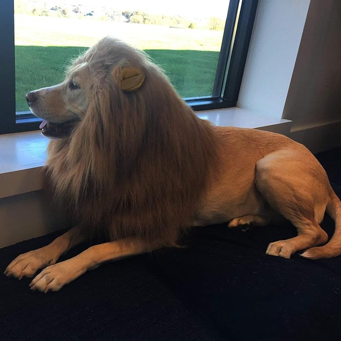 RWM Basting Brush & Dog Lion Mane Constume-Love BBQ, Love Dog