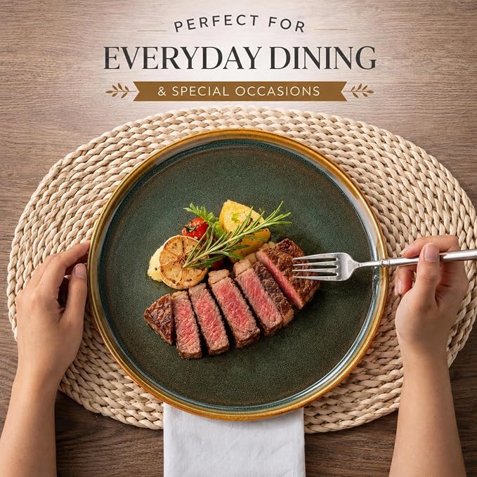 GBHOME Dinnerware Sets for 8, 24 Pieces Stoneware Plates and Bowls Sets, Scratch Resistant Dishes, Dishwasher & Microwave Safe, Reactive Glaze