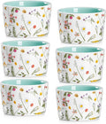 ONEMORE 6 oz Ramekins Oven Safe, Floral Ceramic Ramekin Set of 6 Mint Green Ramekins for Baking & Serving, Creme Brulee Dishes, Custard Pudding Souffle Cups, Small Dessert Bowls for Oven, Air Fryer