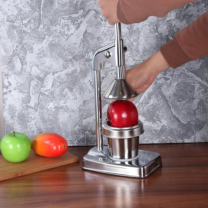DECHOUS Manual Juice Extractor Machine Fruit and Vegetable Squeezer Stainless Steel Easy Cleaning No Power