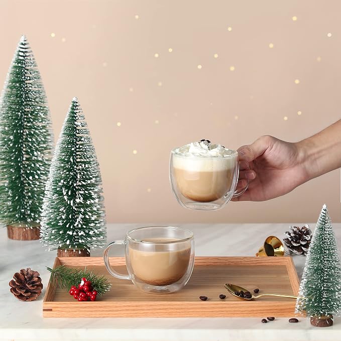 CNGLASS Double Wall Glass Cappuccino Mugs 8.1oz,Clear Insulated Glass Coffee Mug with Handle for Espresso,Latte,Tea,Set of 2