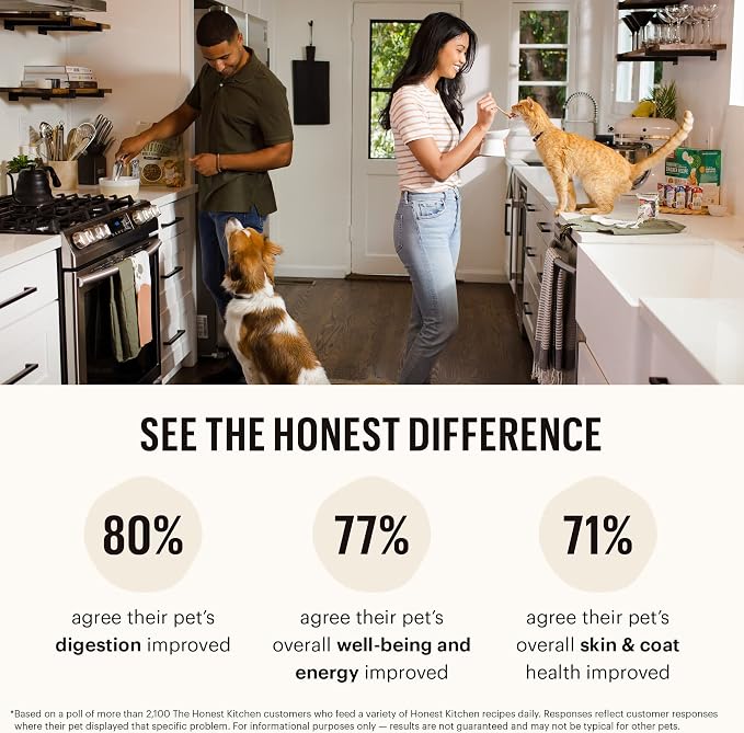 The Honest Kitchen Whole Food Clusters Grain Free Turkey Dry Dog Food, 1 lb Trial Pouch (Pack of 2)
