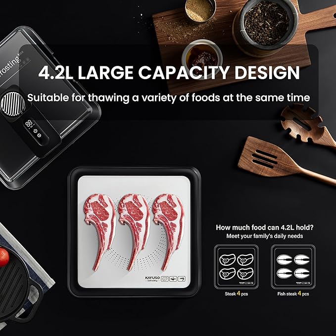Defrosting Tray for Frozen Meat, USB Rechargeable Meat Defrosting Box with Lid, Aluminum Defrosting Tray BBQ, Airflow Technology, Non Stick Easy to Clean (Black)