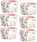 ONEMORE 6 oz Ramekins Oven Safe, Floral Ceramic Ramekin Set of 6 Pink Ramekins for Baking & Serving, Creme Brulee Dishes, Custard Pudding Souffle Cups, Small Dessert Bowls for Oven, Air Fryer