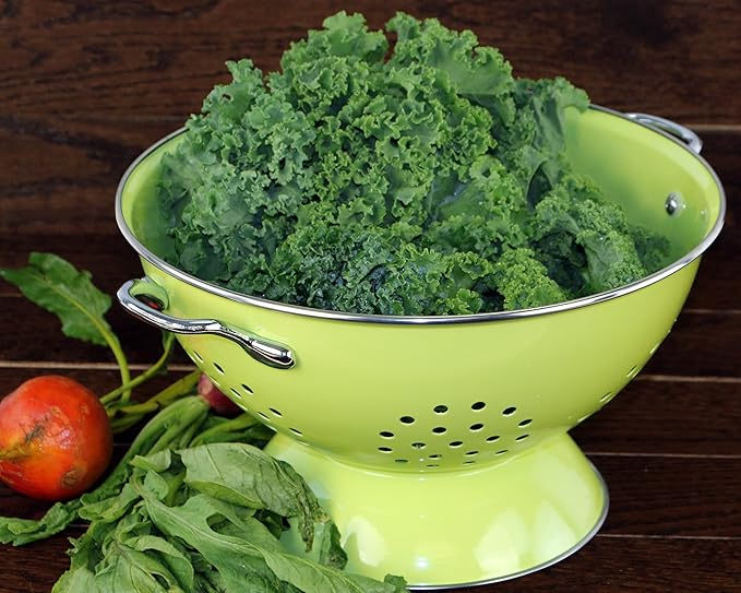 Calypso Basics by Reston Lloyd Powder Coated Enameled Colander, 5 Quart, Lime