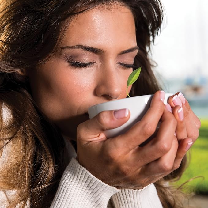 Tea Forte Porcelain Tea Cup and Lid, Steeps 8 oz., Microwave & Dishwasher Safe, Café Cup White