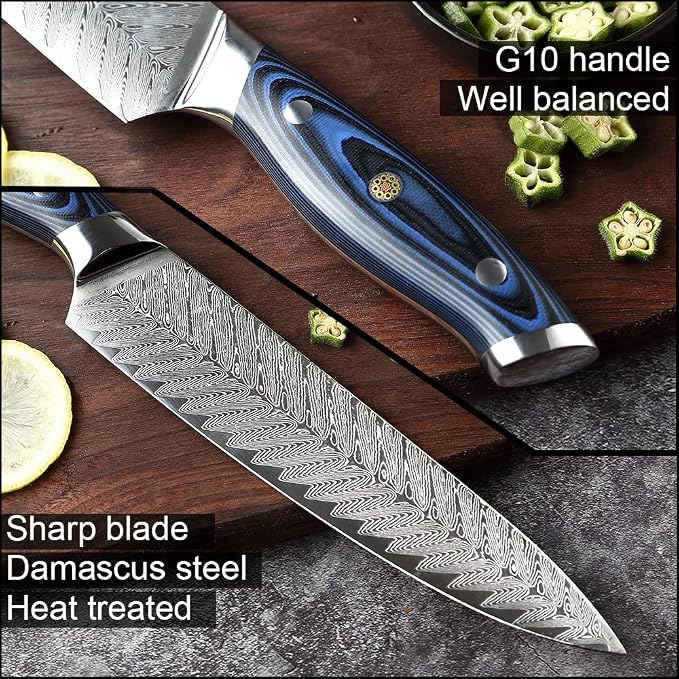 XITUO Damascus VG10 Steel Knife Set, 4-Piece Japanese Kitchen Knives with Ergonomic G10 Handle - Includes Chef, Santoku, Utility & Boning Knife, Ultra-Sharp Professional Cooking Tools